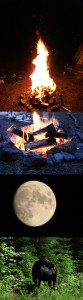 Camping experience; fires, the moon, and a moose.