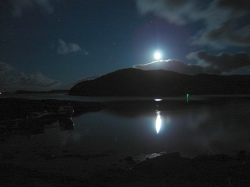 Moonlit night. Source: http://www.flickr.com/photos/taylorhood/207942315/