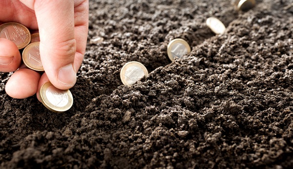 planting seeds of money to grow investing