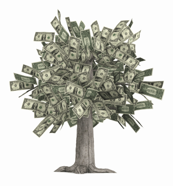 investing is like growing money tree