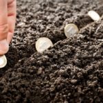 planting seeds of money to grow investing