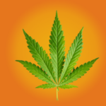 marijuana seed etf