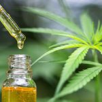 cbd oil extract